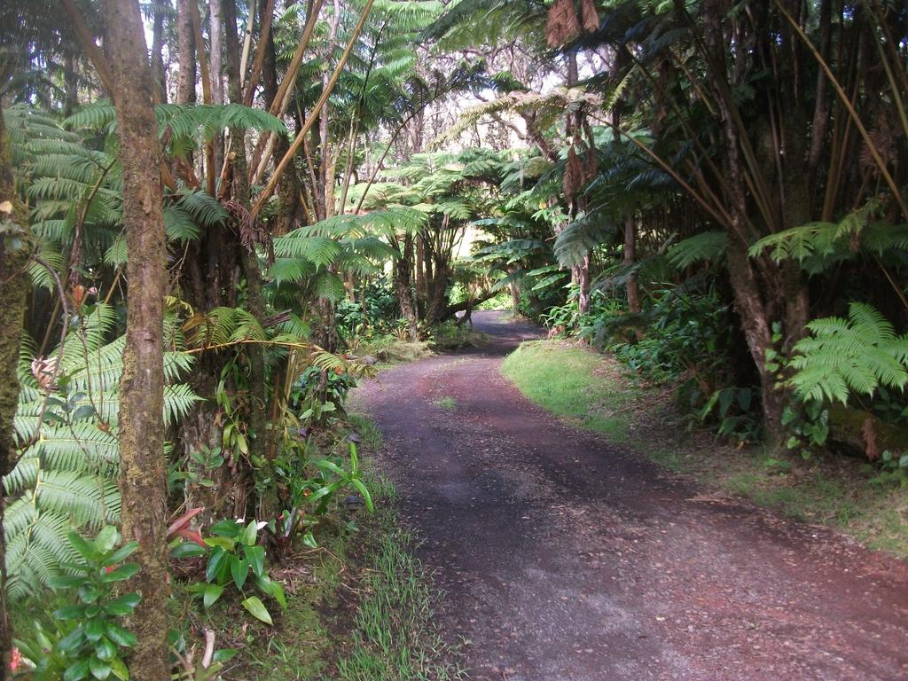 Aloha Crater Lodge Volcano Exterior photo
